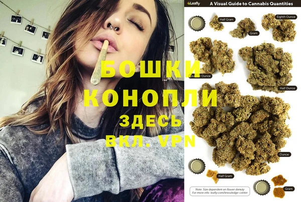 Альфа ПВП Горнозаводск