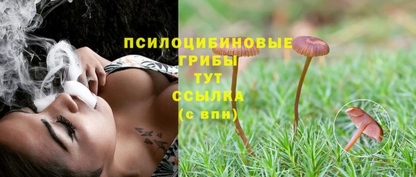 mdpv Горно-Алтайск