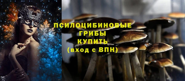 mdpv Горно-Алтайск