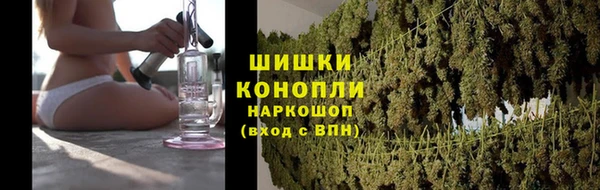mdpv Горно-Алтайск