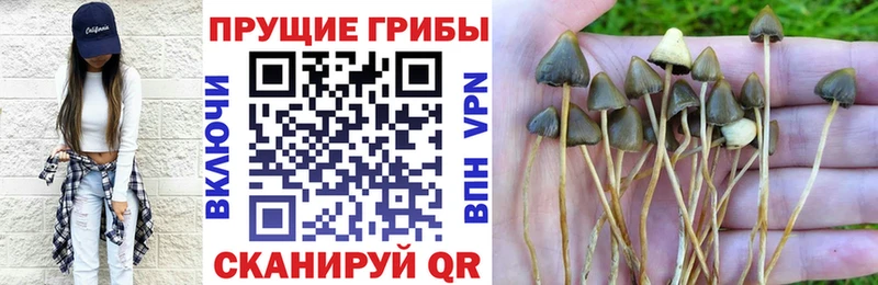 мега маркетплейс  дарнет шоп  Плёс  Псилоцибиновые грибы Magic Shrooms 